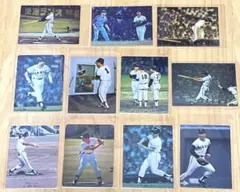 1974年カルビープロ野球カード 読売巨人軍 王貞治11枚セット