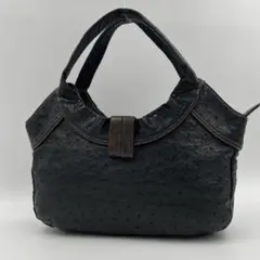 オーストリッチ　トートバッグ　肩掛け　ジッパー開閉　ダチョウ　エキゾチック　本革