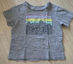 patagonia グレー Tシャツ