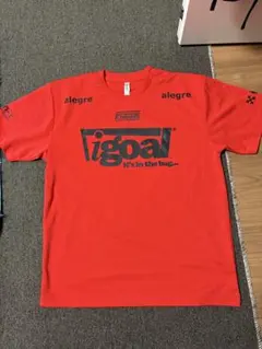 alegre（アレグレ）サッカー/フットサルウェア 背番号4【未着用】のサムネイル