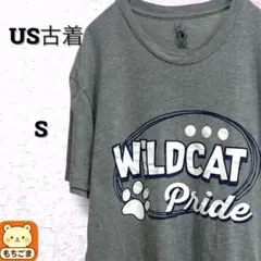 US古着 NEXT LEVEL Tシャツ ビッグプリント グレー S 猫足跡