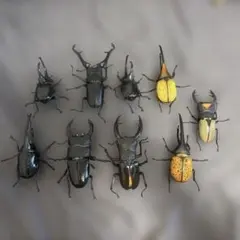 いきもの大図鑑　セット　クワガタ カブト ⚠️1部ジャンク品
