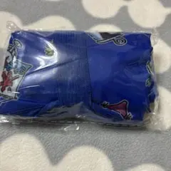 Item thumbnail for item 145b7e19-4da7-4116-80ef-9c0363ed97d3