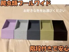 爬虫類プールワイド　選べる5色のサムネイル
