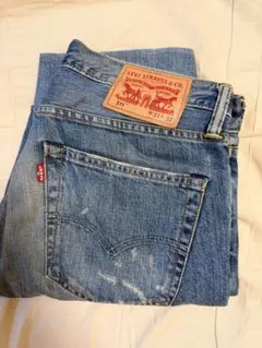 【Levi's】OCEANS掲載　平山祐介着用モデル511 W31 L32
