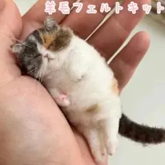 羊毛フェルトキット ニードルフェルト 猫 ハンドメイド作成キット 手芸