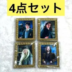 【内袋未開封】ハリー・ポッター 肖像画マグネットコレクション　4個セットのサムネイル