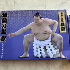 稀勢の里　バスタオル　新品未開封　箱無し