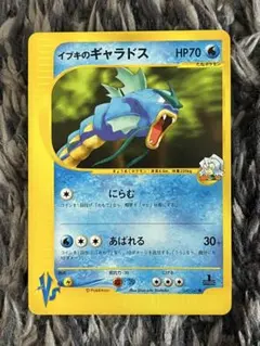 ポケモンカード　vs　イブキのギャラドス　まとめ売り イブキのギャラドス ○ ポケモンカード☆VS 048/141 - メルカリ
