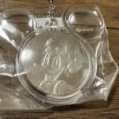 ディズニーシー　非売品　オリジナルメダルキーチェーン　ドナルドダック　2006