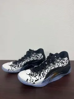 ザイオン バスケットボール