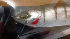 2026年最新】Drt フレンジーの人気アイテム - メルカリ