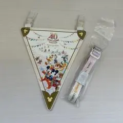 東京ディズニーランドホテルスペシャルルームアメニティ 40周年バナー型ケース