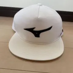 Item thumbnail for item 57739947-54cf-4c87-8f26-1fca7b5272c0