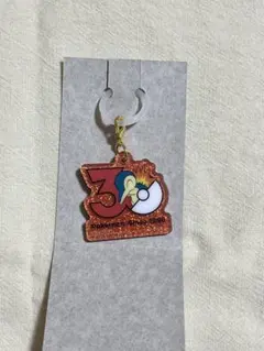 ポケモン(Pokémon) ポケチャーム30周年ロゴマスコット ヒノアラシ