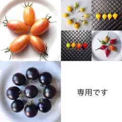 kafuu_u様 リクエスト リクエスト 3点 まとめ商品