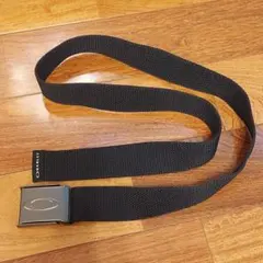 Item thumbnail for item f80c39ce-6f10-4a72-9843-f8a6aa645474