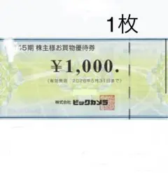 ビックカメラ 株主優待券 ¥1,000 1枚