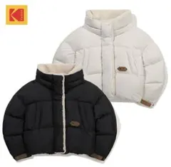 Item thumbnail for item 250cd5cb-9bdb-4539-a57d-9c1f70866e70