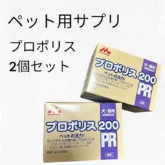 Item thumbnail for item cec21835-5885-4a27-881c-76a74f4ecce3