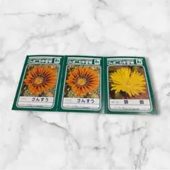 ジャポニカ学習帳　さんすう（２冊）・算数（１冊）のサムネイル