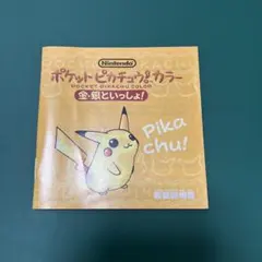 任天堂 ポケットピカチュウ 金・銀といっしょ！ 説明書