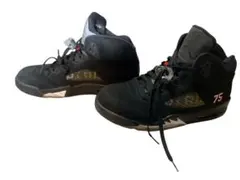 【NIKE】AIR JORDAN 5 PSG パリサンジェルマン 28cm