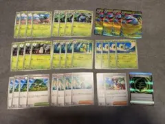 ポケモンカード　進化ライン　メガフシギバナ
