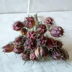 Chiemama様 リクエスト 4点 まとめ商品