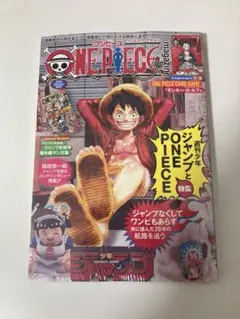 ワンピースマガジン 20号 プロモ付き モンキー・D・ルフィ