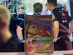 メガルチャブルEX 229/193 MA