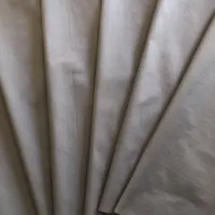 Item thumbnail for item 0bfe038e-6c27-4562-a9bc-5fd5035e898e