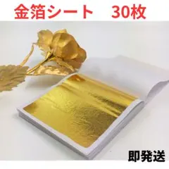 Item thumbnail for item 53e1c153-de3e-4c2c-a465-674aad7b6965