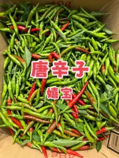 特製一味唐辛子粉 粗挽き55g 「農薬：栽培期間中不使用」 - メルカリ