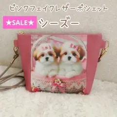 Item thumbnail for item 298230f4-0372-4de2-b2fa-cc43271a5668