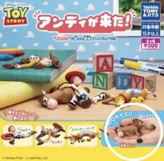 【匿名配送】トイストーリー TOY STORY アンディが来た ブルズアイ