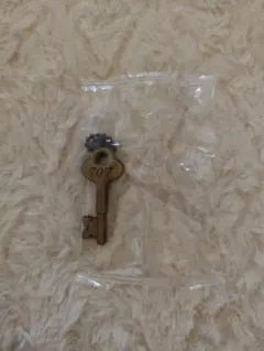 矢沢あい カプセルラバーマスコット 707号室の鍵