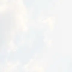 専用