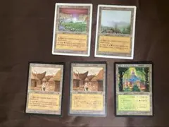 2026年最新】低木林地の人気アイテム - メルカリ