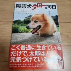 Item thumbnail for item a98d592a-c61c-4d6f-a3a6-cc115a13862f