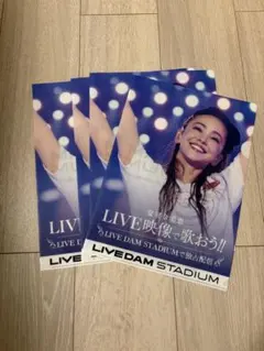 安室奈美恵 LIVEDAM STADIUM クリアファイル 4枚セット 非売品