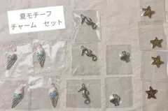 チャーム　夏　モチーフ　ソフトクリーム　タツノオトシゴ　貝　シェル　ヒトデ
