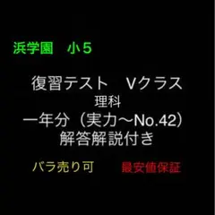 2026年最新】浜学園 最高レベル特訓 小5の人気アイテム - メルカリ