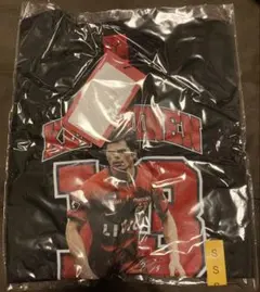 Item thumbnail for item 26fd0a68-ca43-4591-9128-0b25bfffe781