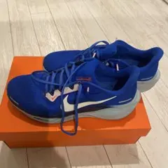 NIKE ペガサス41 27.0
