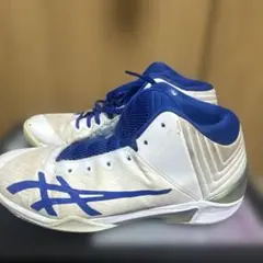 バッシュ
