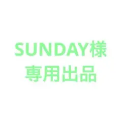 専用出品