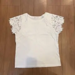 PREFERIR ホワイト レース袖 Tシャツのサムネイル