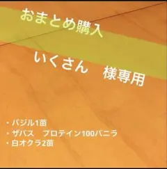 いくさん様 リクエスト 3点 まとめ商品