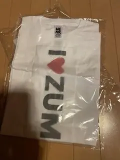 Item thumbnail for item 30d6d2ca-993b-4fbb-80ed-91c67815f6bc